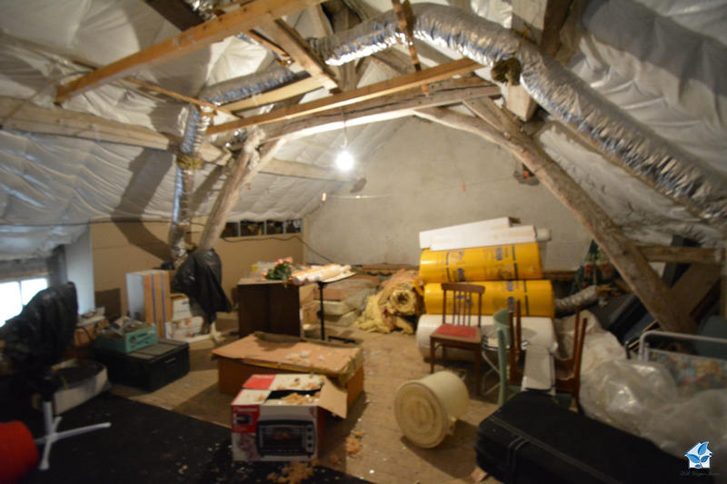 Viager - Maison ancienne - 115 m² - 5 pièces