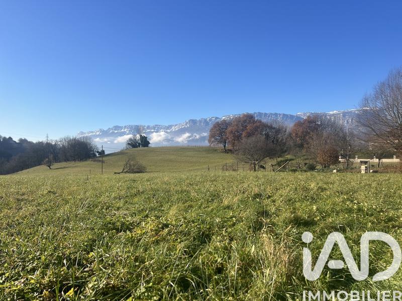 Terrain - 1 029 m²
