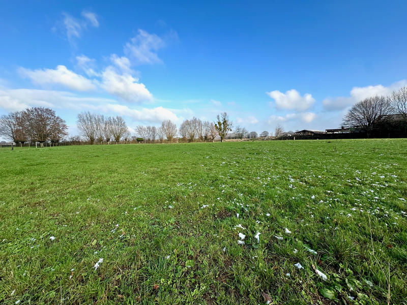 Maison - 183 m² - 6 pièces