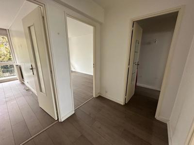 Appartement - 54 m² - 2 pièces
