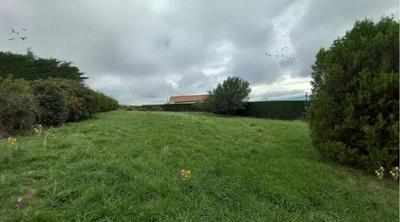 Maison de campagne - 36 m² - 3 pièces