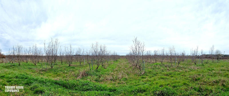Terrain agricole - 120 000 m²