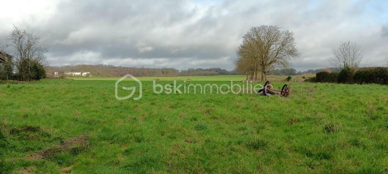 Maison ancienne - 112 m² - 5 pièces