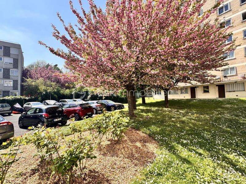 Studio - 35 m² - 1 pièce