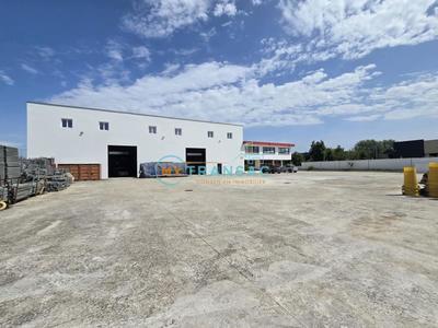 Local d'activité / Entrepôt - 965 m²