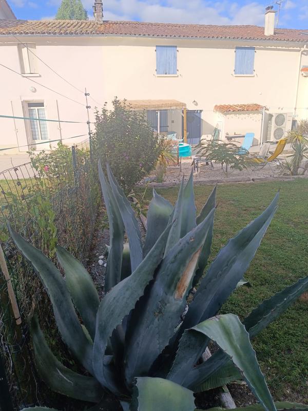 Maison - 200 m² - 7 pièces