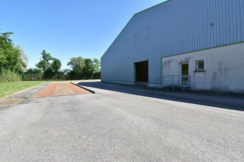 Bureau - 690 m² - 3 pièces