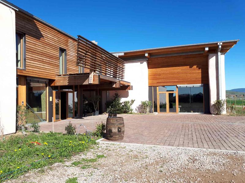 Dégustation : vins et huîtres