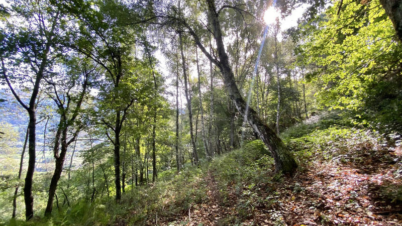 Maison - 71 m² - 1 pièce