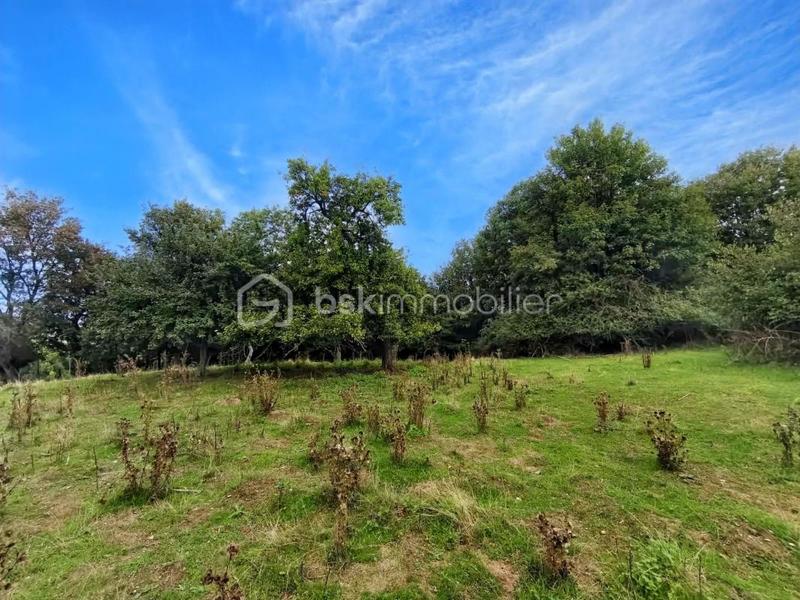 Maison en pierre - 244 m² - 10 pièces