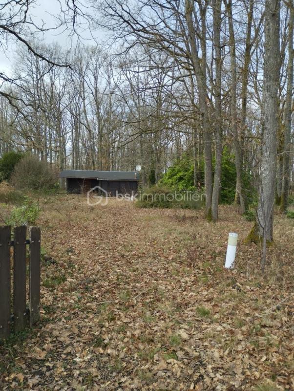 Châlet - 39 m² - 3 pièces