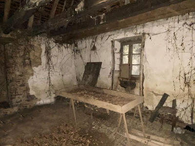 Maison - 50 m² - 1 pièce