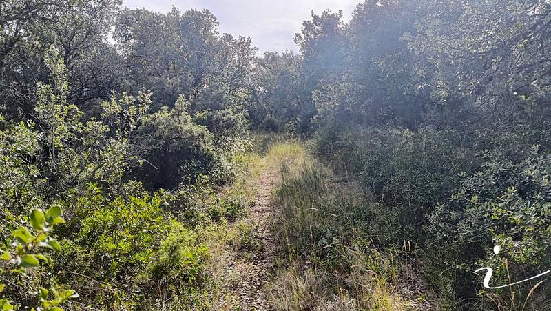 Terrain agricole - 12 250 m²