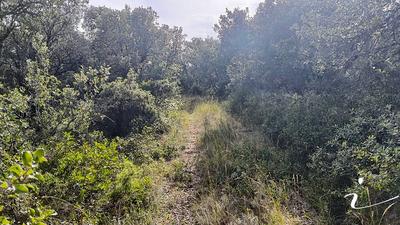 Terrain agricole - 12 250 m²