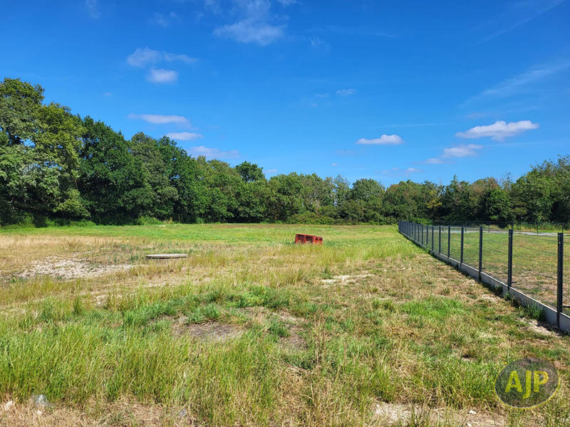 Maison de domaine équestre - 145 935 m²