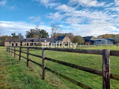 Maison de domaine équestre - 356 m² - 13 pièces