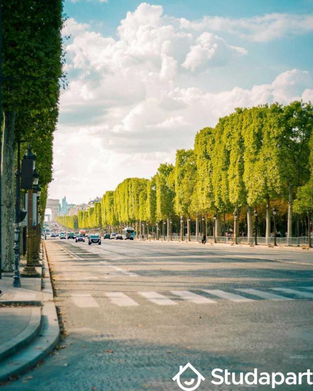 Appartement - 10 m² - 1 pièce