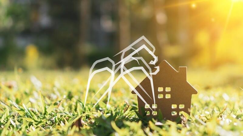 Terrain constructible - 250 m²