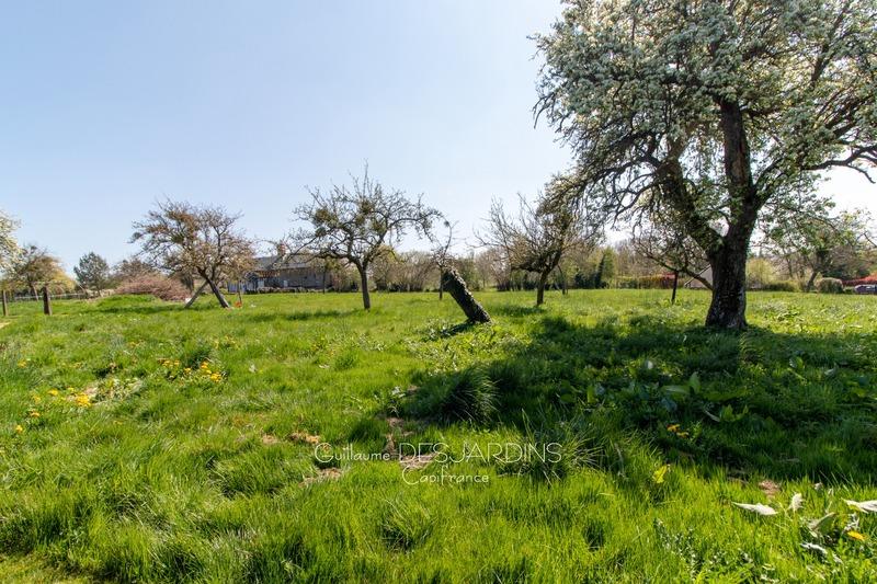 Terrain constructible - 4 000 m²