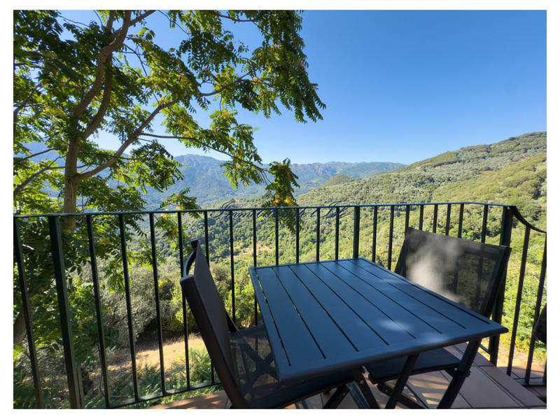 Maison - 327 m² - 11 pièces