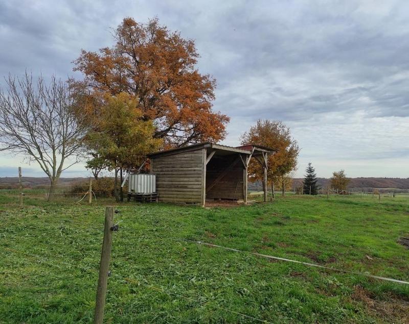 Maison - 113 m² - 1 pièce