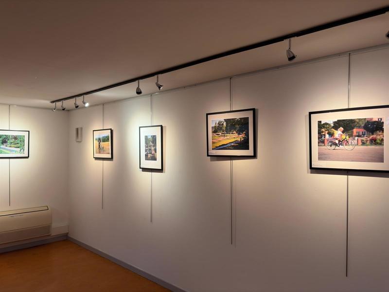 Exposition : Niederbronn-les-Bains au vert