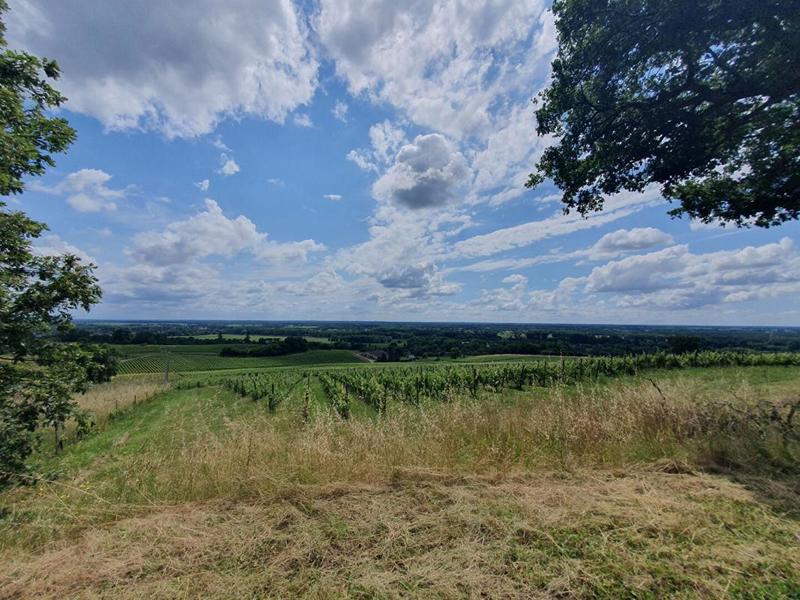 Local d'activité / Entrepôt - 570 m²