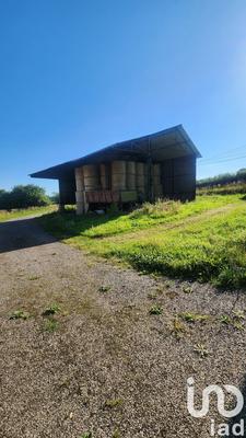 Maison de campagne - 100 m² - 5 pièces