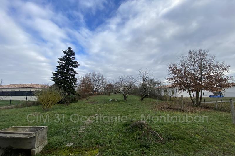 Terrain - 1 175 m²