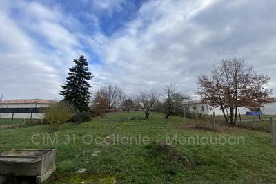 Terrain - 1 175 m²