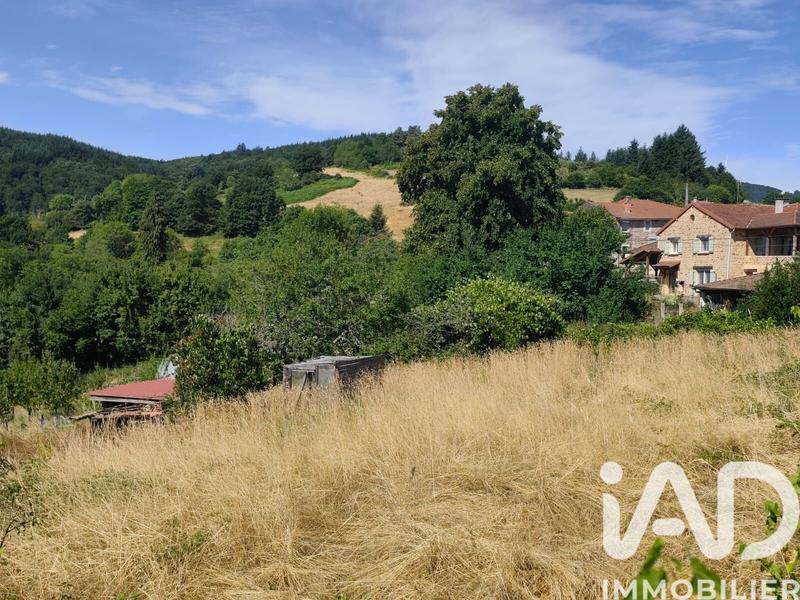 Ferme - 244 m² - 10 pièces