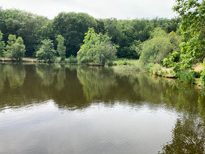 Étang - 27 500 m²