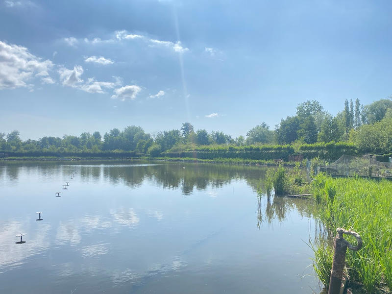 Propriété - 15 000 m² - 2 pièces