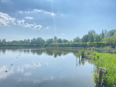 Propriété - 15 000 m² - 2 pièces