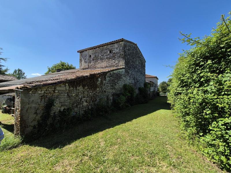 Maison en pierre - 197 m² - 8 pièces