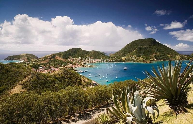 Hôtel particulier - 624 m² - 12 pièces