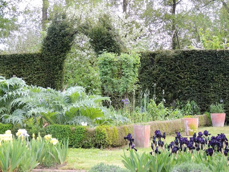 Découvrez les Iris au Domaine de Poulaines