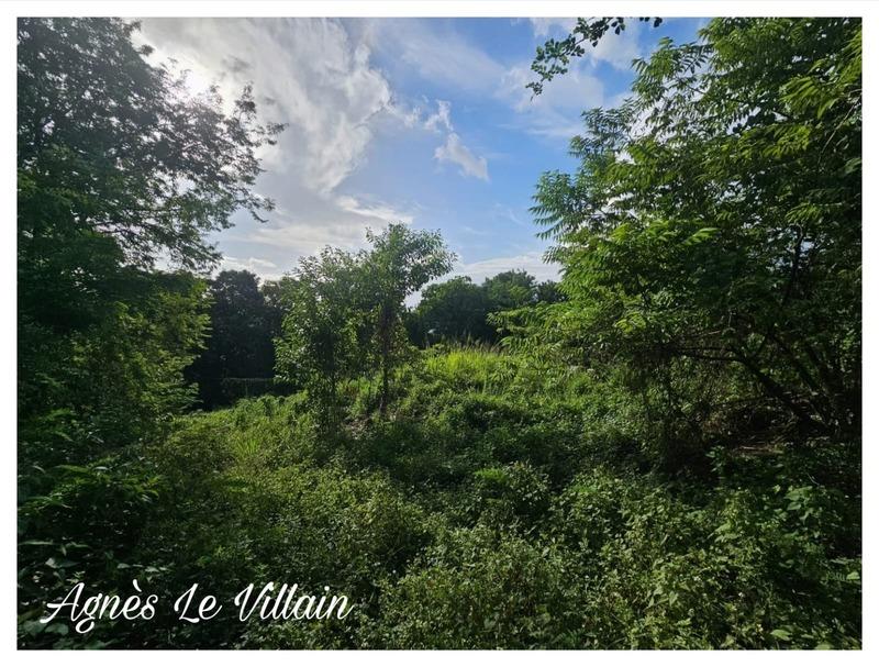 Terrain constructible - 2 983 m²
