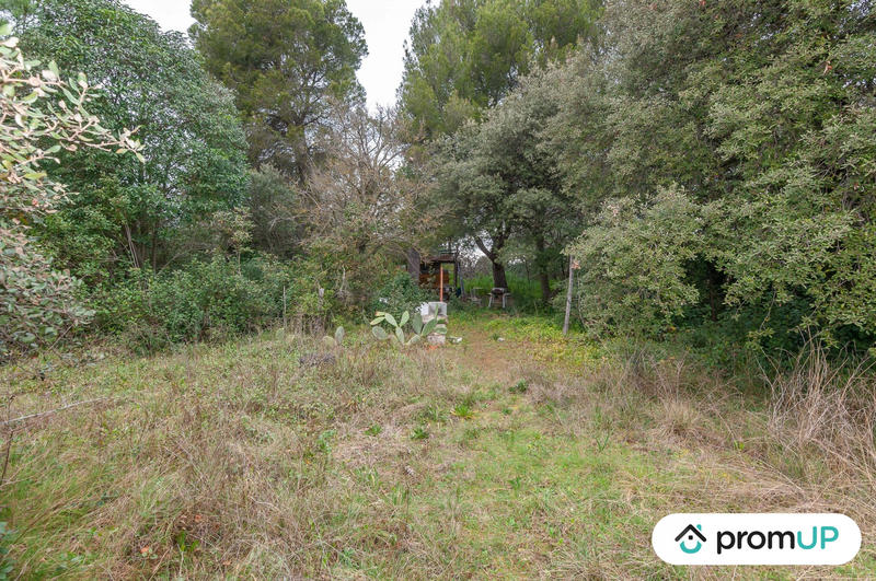 Terrain agricole - 10 601 m²
