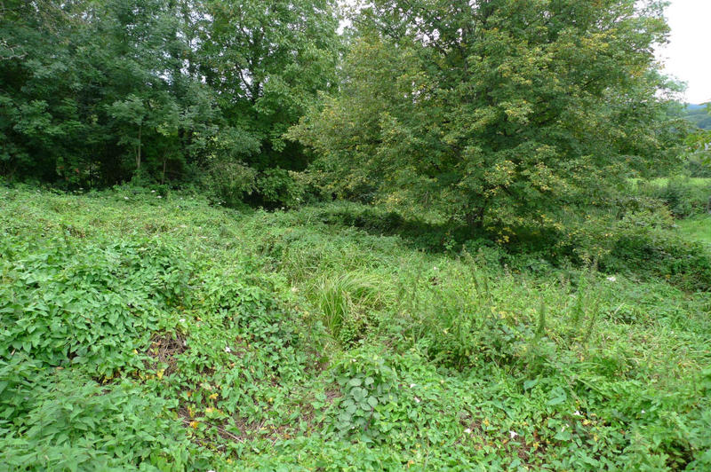 Maison - 99 m² - 4 pièces