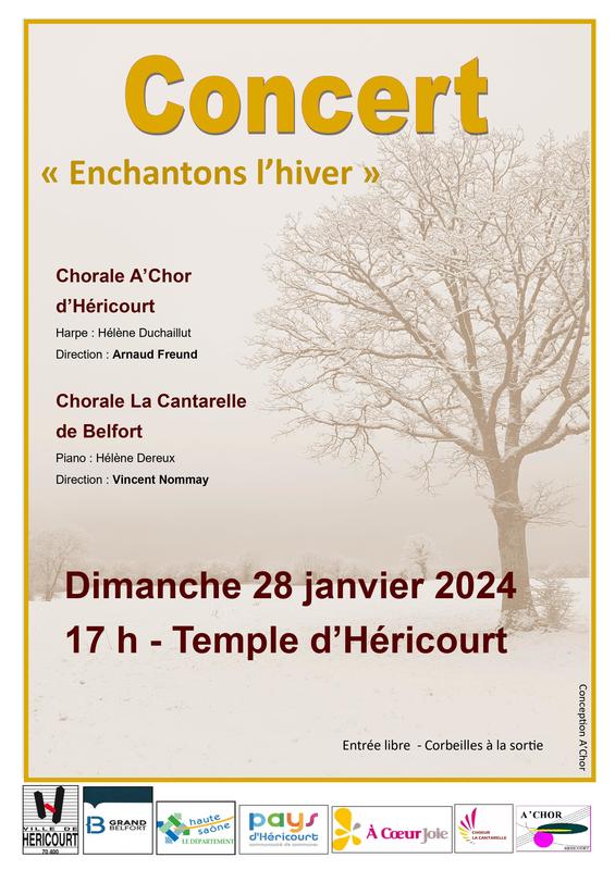 Concours d interpretes de la chanson francaise : Concert Chanson variete a  Froideconche