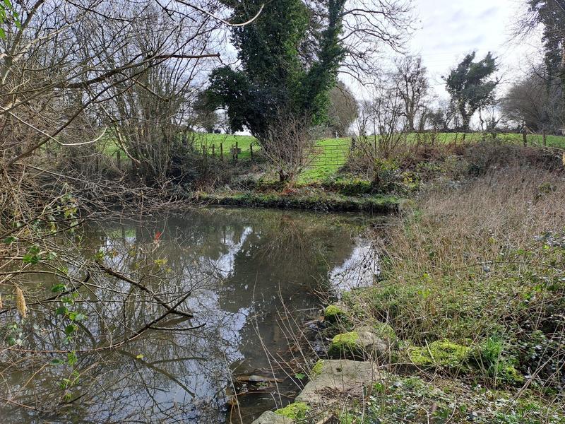 Maison ancienne - 160 m² - 6 pièces