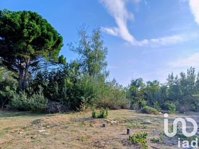 Terrain - 1 559 m²