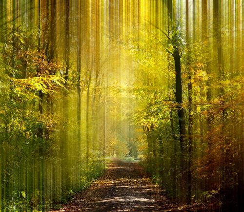 Elsa Prohom - Cabinet Terra Humana