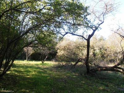 Maison de campagne - 180 m² - 7 pièces