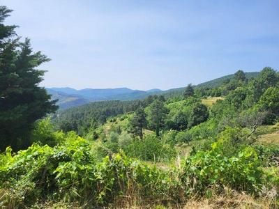 Maison - 160 m² - 8 pièces