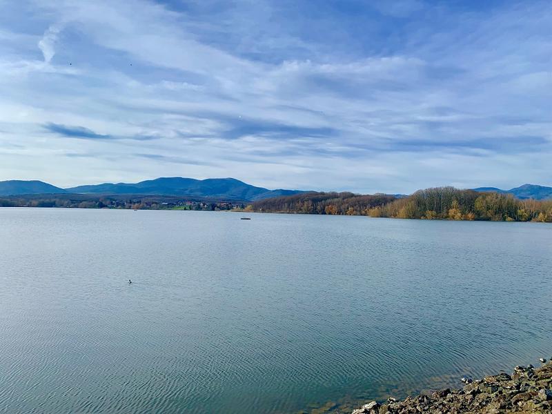 Sortie nature et patrimoine