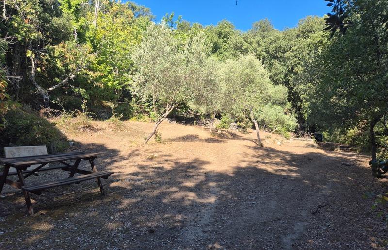 Propriété - 208 m² - 7 pièces