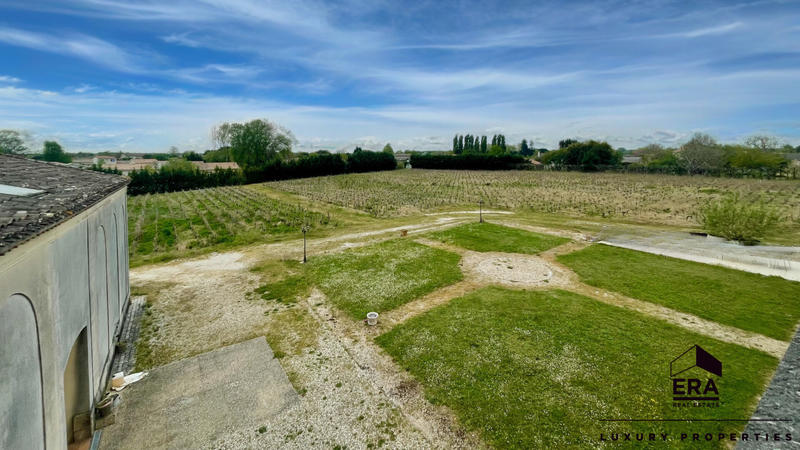 Château - 600 m² - 15 pièces