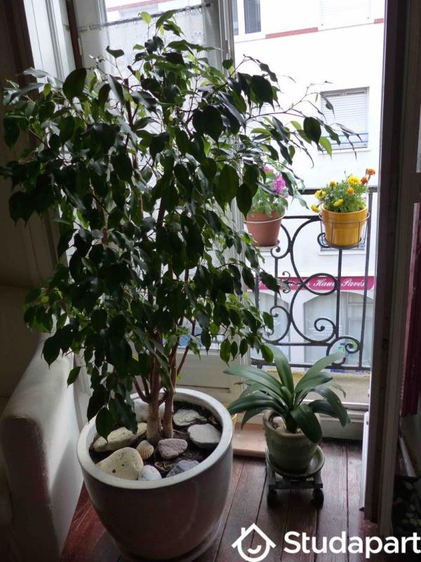 Chambre - 14 m² - 1 pièce